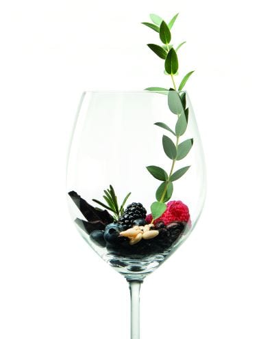 wineline glass flavour wineline glass flavour