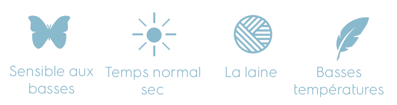icons-pc-1-768x217 encombrement réduit
