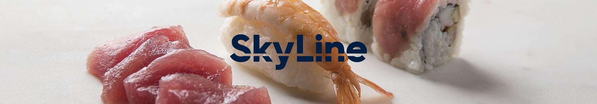 skyline blast chiller skyline blast chiller