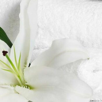banner_Detergents_mobile banner_Detergents_mobile
