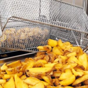 friteuses2 friteuses2