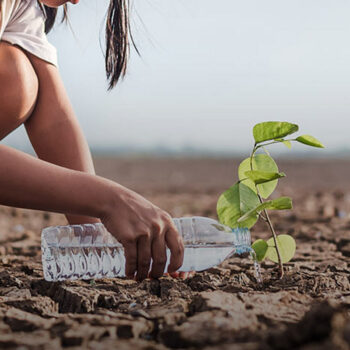 banner-sustainability-1125x1583-1 banner-sustainability-1125x1583-1