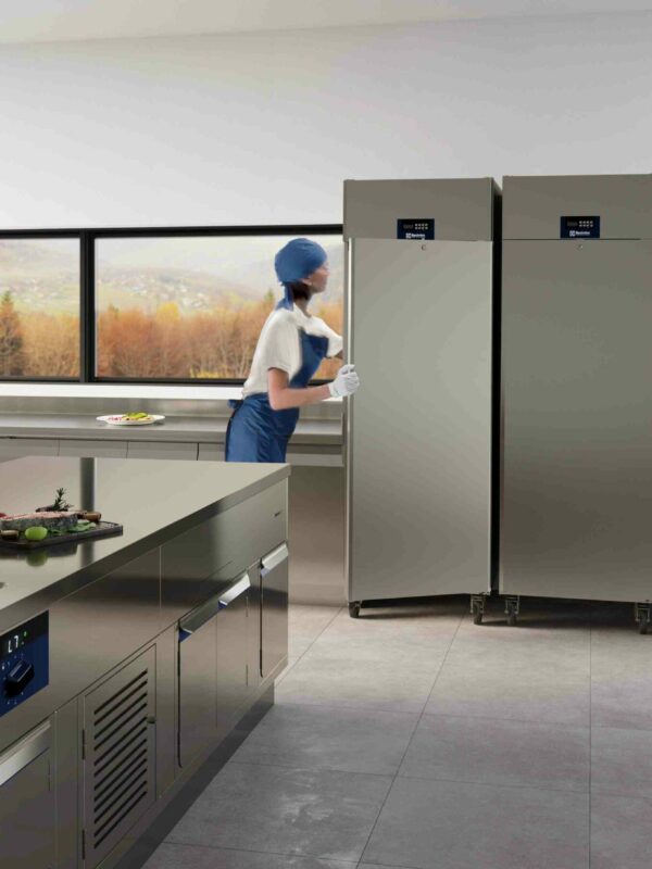 kitchen with thawing and skyline_300dpi-compressed piano de cuisson professionnel