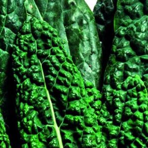 benefits of energy-efficient refrigeration benefits of energy-efficient refrigeration