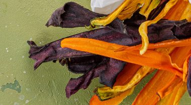 Recette Zéro Déchet – Chips à la carotte