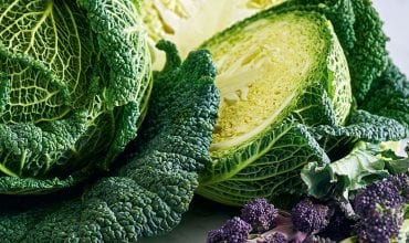 TR210 vegetable slicer